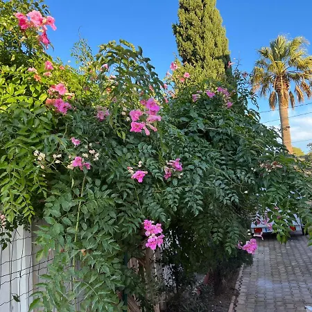 Σπίτι διακοπών Flamingo *